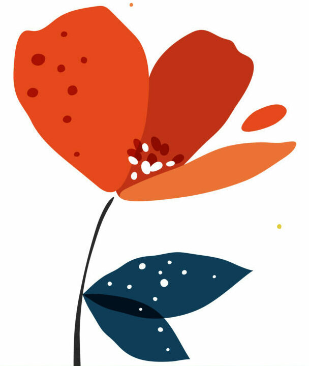 Image Miss Graphique / Graphiste Powerpoint / Présentation Powerpoint
